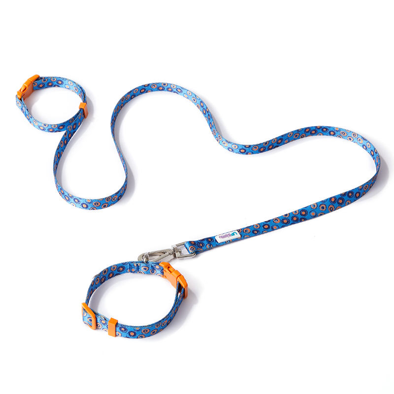 Collier + Laisse (Starry Rhapsody)