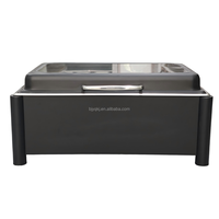 Chauffe-Plats Électrique Professionnel 9L Rectangulaire Noir en Acier Inoxydable pour Buffet – Offre Spéciale