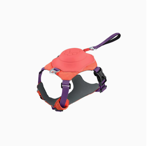 Harnais <span class=keywords><strong>de</strong></span> promenade rétractable pour <span class=keywords><strong>chien</strong></span> avec support dorsal, sans fermeture et anti-évasion, pour chiens <span class=keywords><strong>de</strong></span> taille moyenne et grande - Product Image 5