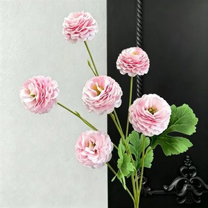 ดอกเบญจมาศสีม่วงหกหัว - Product Image 6