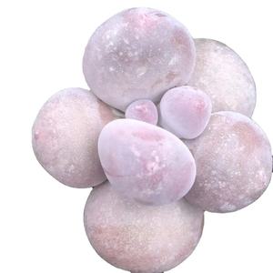 Plantas Suculentas Artificiales <span class=keywords><strong>Echeveria</strong></span> <span class=keywords><strong>Paso</strong></span> <span class=keywords><strong>Doble</strong></span> al por Mayor - Product Image 1