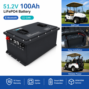לנו מלאי 48v 24v 51.2v 100ah 200 ח 300ah 400ah 600ah סוללה ליתיום 6000 מחזור עמוק ליתיום lifo4 סוללת ליתיום - Product Image 5
