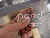 Eetbare Dadels Palmen Fruit Pitter Dadelzaad Verwijdermachine Machine