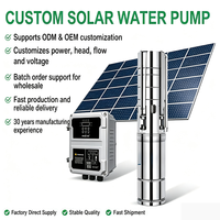 Pompe submersible solaire MPPT compacte en acier inoxydable pour forage profond, 30 m³/h, hauteur de refoulement 36 m, économe en énergie, isolée et télécommandée