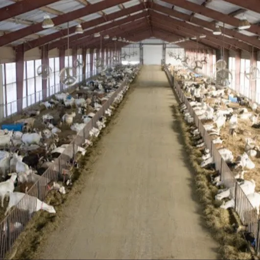 La cina Yinong fornisce servizi di fabbricazione per capannoni di capre e capannoni in acciaio, oltre alla progettazione di edifici per allevamenti di pollame.