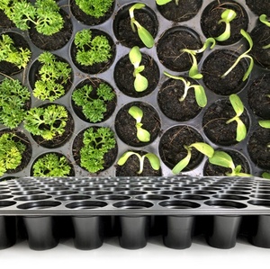 Hot Bán Nhựa 104 Lỗ Nhựa Hạt Giống Tế Bào Khay Cho Dưa Hấu Thái Lan - Product Image 3