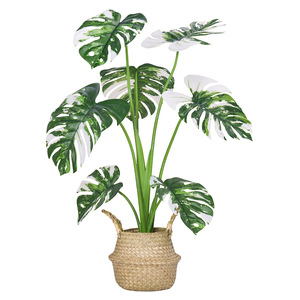 Simulation nordique salle de diffusion en direct, plantes vertes, plantes en pot blanc brocart tortue dos <span class=keywords><strong>bambou</strong></span> intérieur décorations chez l'habitant - Product Image 4