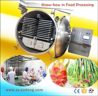 2026 Xinyang 100m² Fruit- en groente-vriesdroogmachine