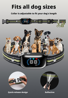 Collier de dressage pour chien à distance, en plastique, étanche IPX7, 3 canaux, rechargeable, pour l'entraînement d'obéissance des chiens en extérieur