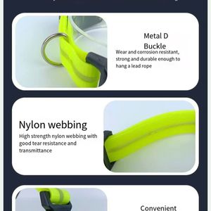 Collier et laisse pour chien avec recharge USB, nouveau style imprimé moderne, polyester durable, lumière douce, collier pour chien pour la marche nocturne - Product Image 5