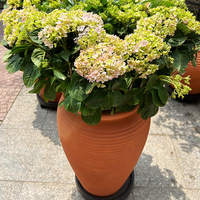 Jardinières en terre cuite rouge extra larges Pots de fleurs respirants Pots en céramique de grand diamètre pour balcons extérieurs Villas en poterie