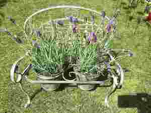 Outdoor Indoor Folding Metal flower pot stand <span class=keywords><strong>2</strong></span> Pot antique color Metal Garden plant Pot holder - Product Image 4