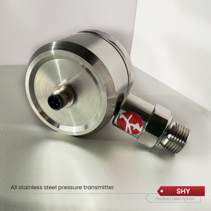Facile Installazione per Trasmettitore di Pressione Liquida Industriale in Acciaio Inossidabile, Intelligente e ad Alta Precisione - Product Image 2