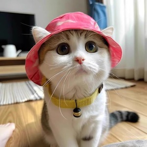 หมวกกันแดดสำหรับสัตว์เลี้ยงแบบน่ารัก ปกป้องหู ป้องกันรังสียูวี เหมาะสำหรับสุนัขและแมว ลูกสุนัข แมวเดวอน ใช้กลางแจ้ง ป้องกันแสงแดด - Product Image 3