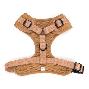 Nuovo Set di Collare e Guinzaglio Regolabile per Cani e Gatti con Ricamo Personalizzato a Forma di Omino di Pan di Zenzero in Velluto - Product Image 4