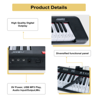 61 Keys Double Keyboards Electronic Piano & Organ MIDI Keyboard with Sustain Chord Light Functions Portable for Children