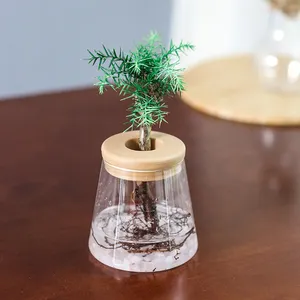 Minijarrones de vidrio transparente para el hogar, decoración nórdica de plantas hidropónicas, florero de cilindro