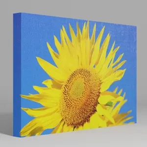 แผง KAPA แบบขยาย สำหรับการจัดจำหน่ายสินค้าตามความต้องการ - Product Image 1