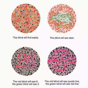 Gafas para Daltonismo con Logotipo Personalizado al por Mayor, Gafas Correctoras de Daltonismo Rojo-Verde, Gafas de Sol TR90 para Unisex - Product Image 3