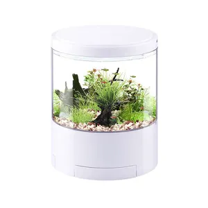 Bestseller Acryl Led Licht Usb Kleine Mini Aquarium Aquarium Voor Binnen Decoraties Van Thuis