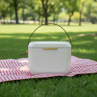 Sangle d'épaule, glacière mini 6L CC, peinture haute brillance, style tendance, boîte à glace pour aliments, canettes, boissons, lait, gâteaux