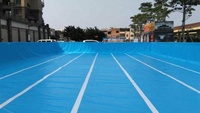 Fête de l'eau d'été de piscine de jambe en acier de piscine d'eau gonflable de qualité marchande pour des enfants et des adultes pour extérieur