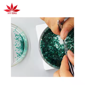 Ensemble fixe de HYEDU 25 pièces <span class=keywords><strong>entomologie</strong></span> insectes microscope préparé spécimen diapositives - Product Image 2