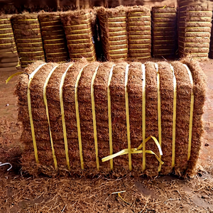 BEST-SELLER Fibre de coco écologique de haute qualité, durable, pour la fabrication de cordes, l'emballage et le contrôle de l'érosion, exportation - Product Image 1