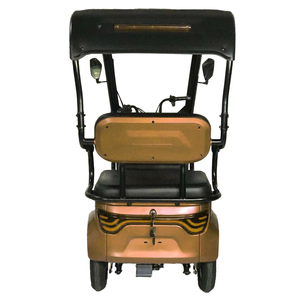 Nuevo Diseño, Triciclo de 3 Ruedas para Adultos, 800W, 60V, con Techo, en Venta - Product Image 5