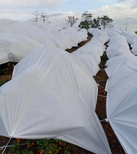 Frost Protection <strong>Fabric</strong> Agriculture <strong>Non</strong> <strong>Woven</strong> <strong>Fabric</strong> Frost Protection Bags Cover for Greenhouse - Product Image 6