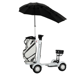 Scooter Eléctrico de Golf de 4 Ruedas, Motor sin Escobillas de 2000w, Batería de Litio de 48V 10-21Ah, Alcance de 15-25km, Velocidad Máxima de 20km/h, Carga de 150kg - Product Image 6