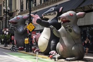 Hot bán Chicago sinh ra bơm hơi khổng lồ Phản đối rat Inflatable scabby rat/chuột động vật mô hình cho Đường Phố Cảnh báo trang trí - Product Image 3