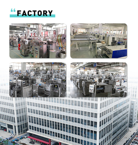 Macchina Automatica per Confezionamento Bustine di Tè Macchina per Produzione Bustine di Caffè Macchina per Imballaggio Bustine di Tè con Sigillatura su Tre Lati - Product Image 6