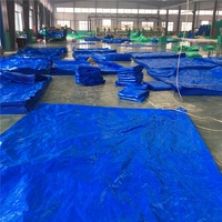 Rouleau de bâche en PEHD 100% imperméable haute durabilité avec œillets, vente en gros du fabricant, Chine