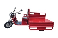 Tricycle de fret électrique 1000W de haute qualité de Chine, modèle USA, avec certification CE, pour la mobilité des personnes âgées, doté d'une batterie et d'une fonction benne
