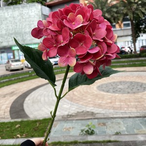 Hydrangée artificielle Bourgogne à tige unique en soie synthétique pour décoration florale de maison, mariage, vase et table - Vente en gros - Product Image 1