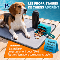 Tapis rafraîchissant pour animaux de compagnie, nouvelle version, non toxique, auto-refroidissant, personnalisable en gros, pour chiens de toutes tailles