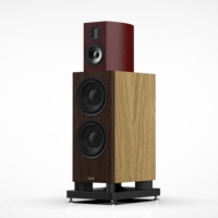 Altavoces de Estantería AVplay B-65 Pro de 6.5 Pulgadas y 2 Vías de Alta Fidelidad para Audio en Casa, Voces y Música de Pequeños Grupos