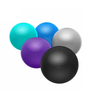 High Quality-Assured Natural Rubber 120cm Exercise/Fitness Balls/Plastic Fitness Yoga Ball