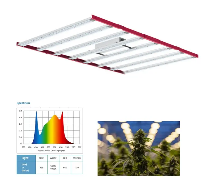 Indoor Led Grow Light Medical plants 1000W 301b Dimmable Led Grow Light for vertical farming