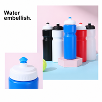 Bouteille d'eau réutilisable en plastique coloré de 750 ml, écologique, avec bec verseur à pression, pour la randonnée, les voyages en plein air, le vélo