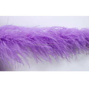 1-30ply Số Lượng Lớn Đà Điểu Lông Nhuộm Màu Sắc Khác Nhau Fluffy Qstrich Lông <span class=keywords><strong>Boa</strong></span> Cho Đám Cưới Thủ Công Mỹ Nghệ Trang Phục Sân Khấu - Product Image 4