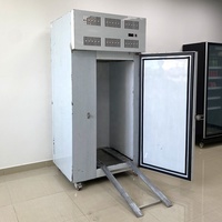 Groothandel Betrouwbare ventilator-gekoelde snelvriezer voor vis, vlees en kip met hoog rendement Tecumseh compressor