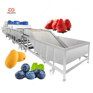 Cherry trái cây rửa sạch dây chuyền chế biến rau làm sạch và đóng gói máy để rửa và đóng gói Rau - Product Image 4