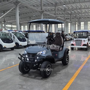 Voiturette de golf électrique certifiée CE, 6 places, 48V, série de vente mobile en métal, édition limitée, autonomie 90 km, vitesse 30 km/h - Product Image 4
