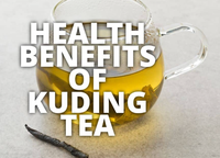 Comprimés de thé Kuding naturel pour la digestion des adultes, la perte de poids, le soutien de la pression artérielle saine, personnalisables, sans ingrédients artificiels