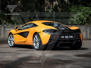 Arbon Iber-oreja umper, vueltas, 54040570 S 570G2015-2018 - Product Image 3