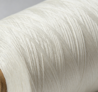Sock Knitting Raw Material 21S Ti-White 100% Polyester Yarn High Tenacity for Sewing