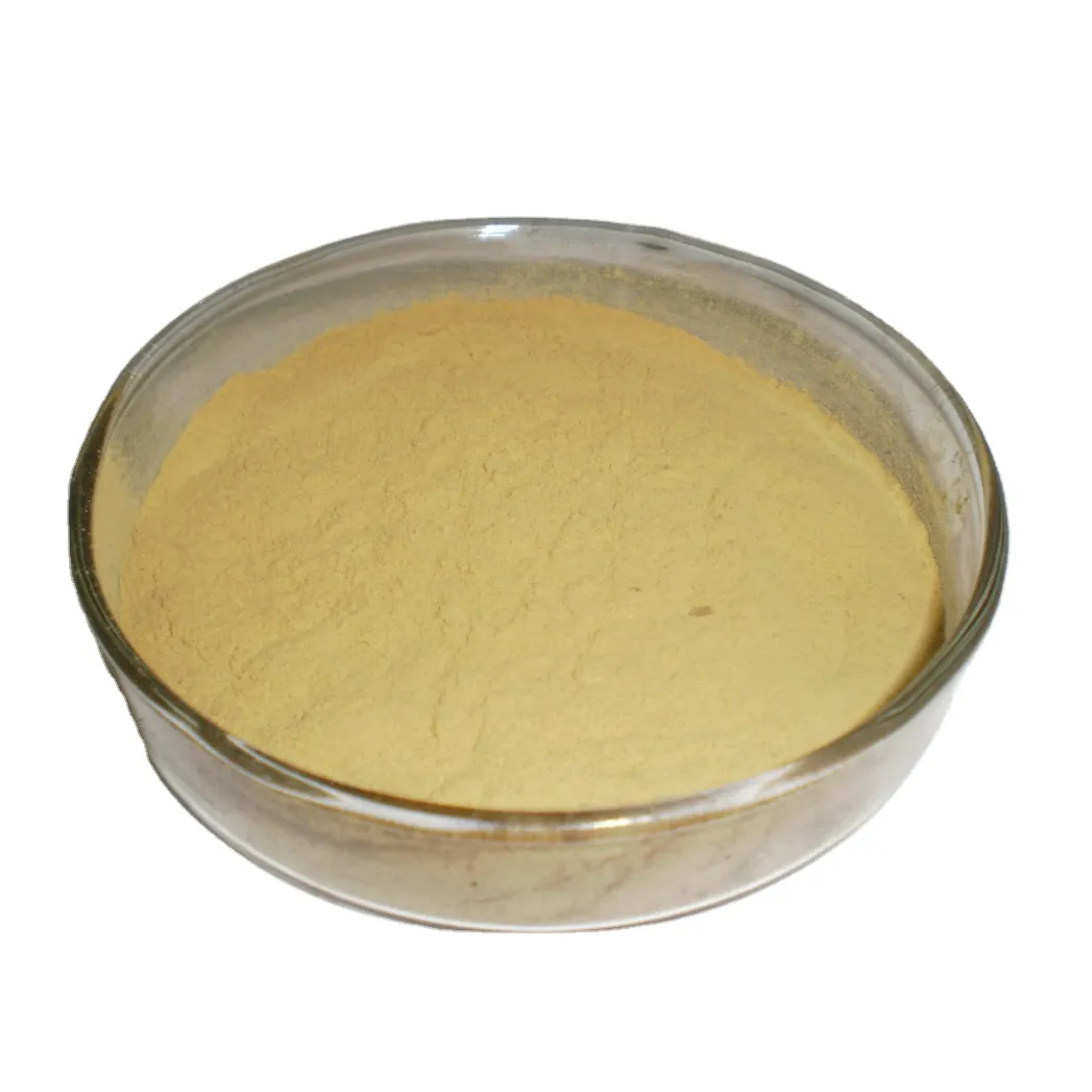 Cas 11138-66-2 Xanthan Gum 200 mesh hochwertiger chinesischer Lieferant