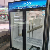 Congélateur commercial vertical à porte vitrée transparente pour boissons, température unique, avec éclairage LED, pour supermarchés et magasins de proximité